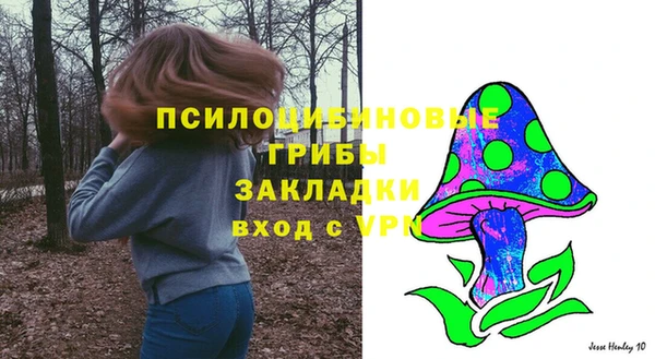 кокс Алексеевка