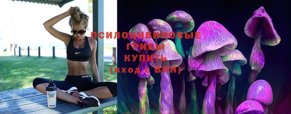 кокс Алексеевка