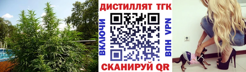 ТГК гашишное масло  Бабушкин 