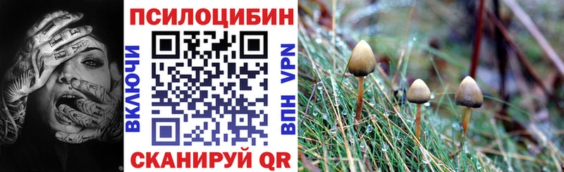 Галлюциногенные грибы прущие грибы  где можно купить наркотик  Бабушкин 