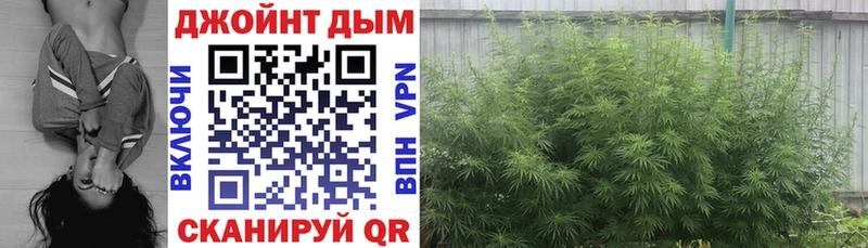 гидра ТОР Бабушкин Конопля Amnesia купить наркотики сайты